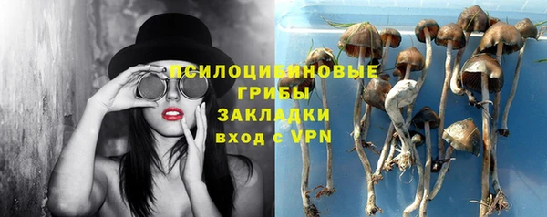 дживик Беломорск