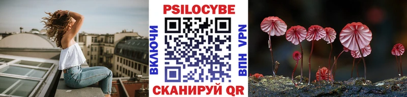 Купить Бугульма Галлюциногенные грибы Magic Shrooms